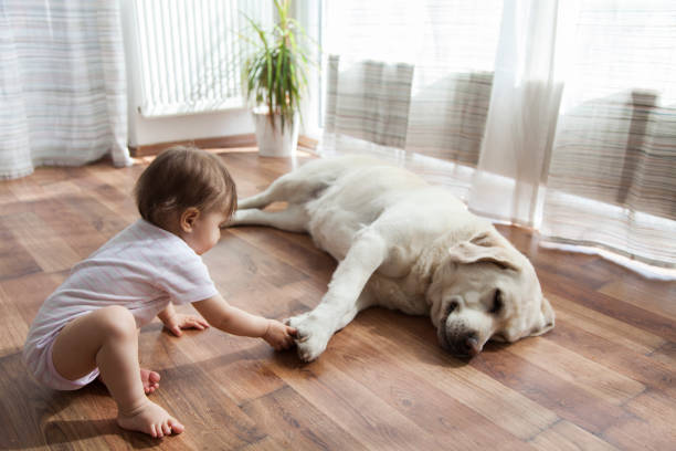 Baby with dog | West Michigan Carpet Center