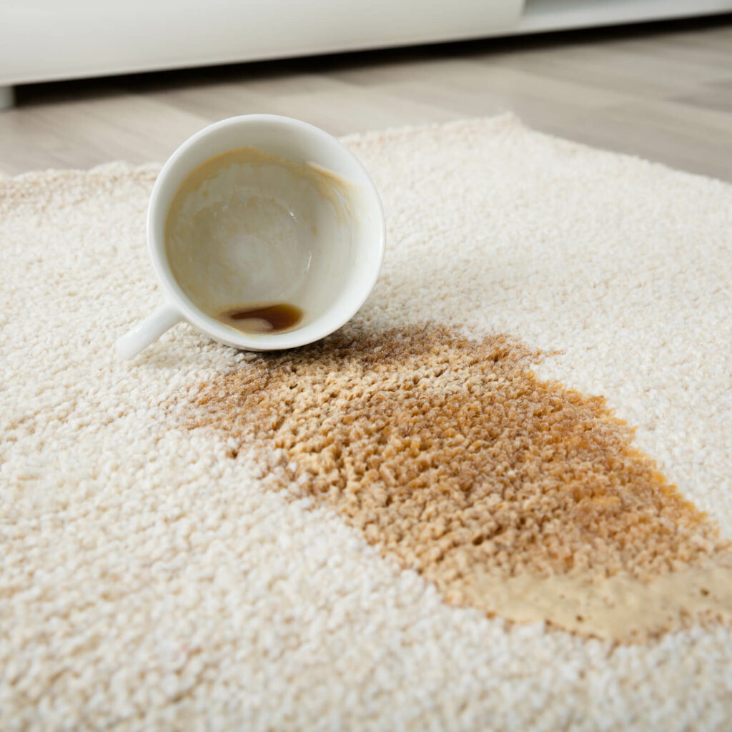 Carpet floor cleaning | West Michigan Carpet Center